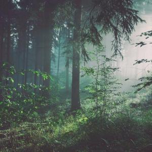 AI换脸李一桐上床无码视频
